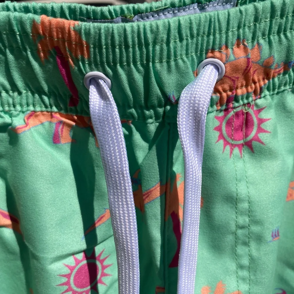 Tipsyelves Swim Trunks Dino Desert Size Large New
